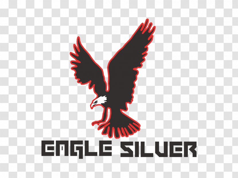 Eagle Logo Brand Flight Font - Bird Of Prey Transparent PNG