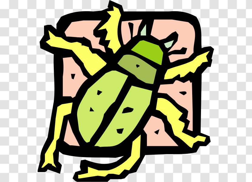 Beetle Drawing Clip Art - Organism - Insect Transparent PNG