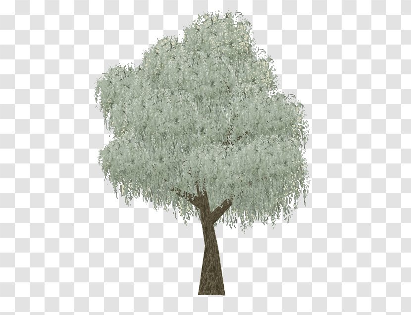 Zoo Tycoon 2 Eucalyptus Coolabah Tree Woody Plant Evergreen - Leaves Transparent PNG
