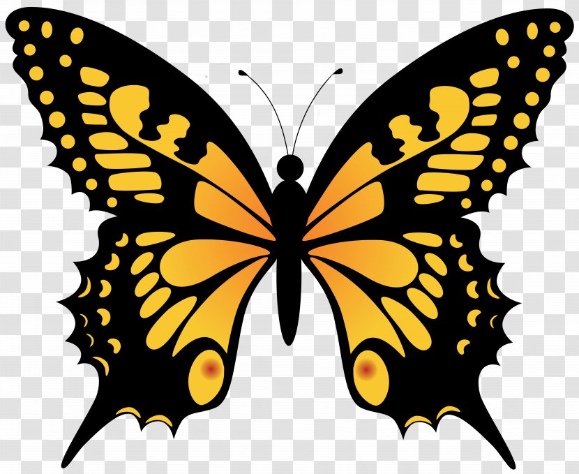 Monarch Butterfly Clip Art Brush-footed Butterflies Image - Papilio - Pine Ornament Transparent PNG