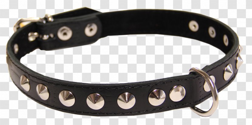 Dog Collar Breed - Jewellery Transparent PNG