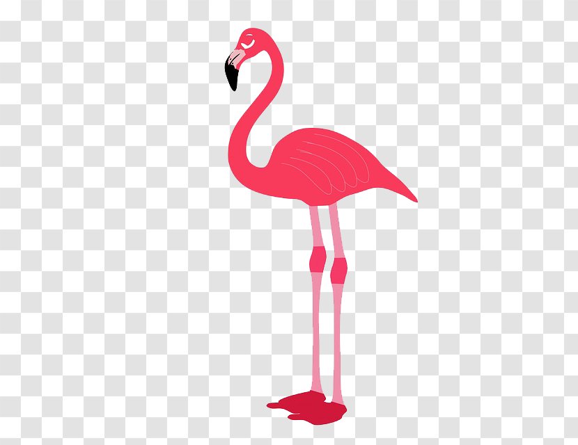 Flamingo Bird Stock Photography Clip Art - Vertebrate - Lovely Hand-painted Flamingos Transparent PNG