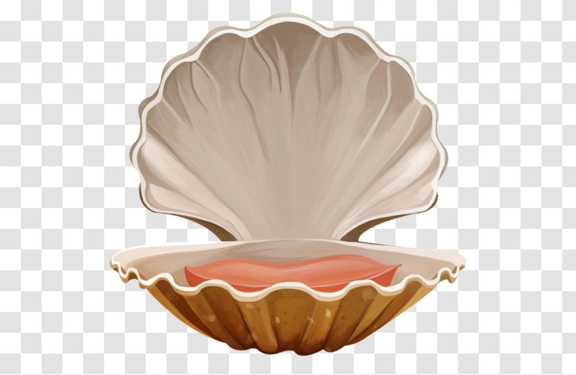 Seashell Marine Clip Art - Beach - Quill Transparent PNG