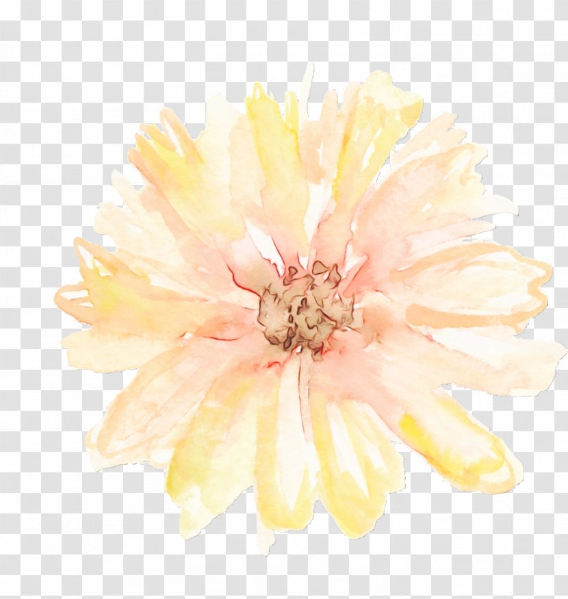 Pink Flower Cartoon - Common Zinnia Wildflower Transparent PNG