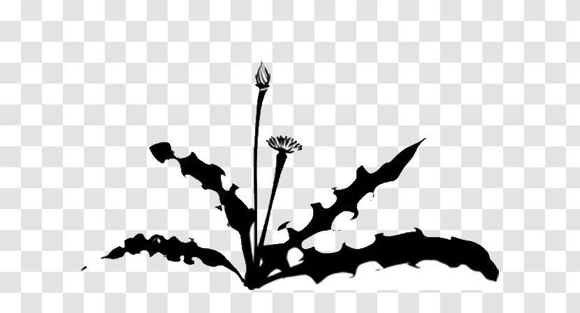 Weed Garden String Trimmer Clip Art - Tree - Dandelion Transparent PNG