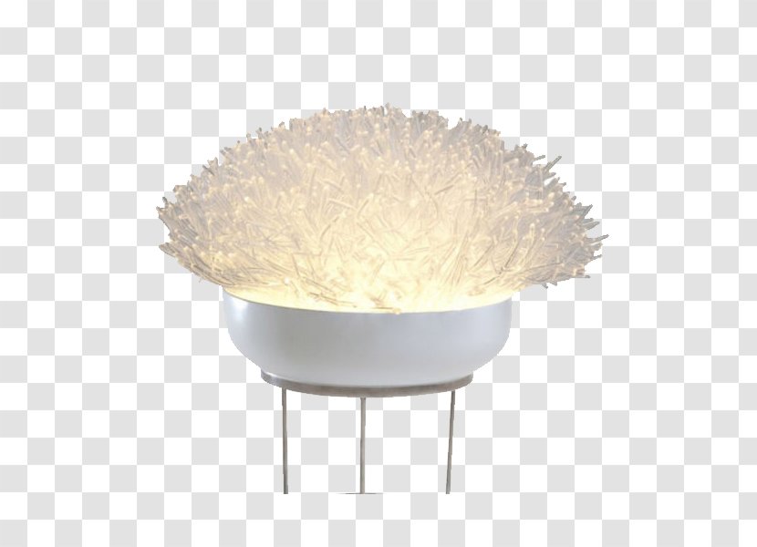Light Sea Anemone Coral - Lighting - Creative Anise Lamp Transparent PNG