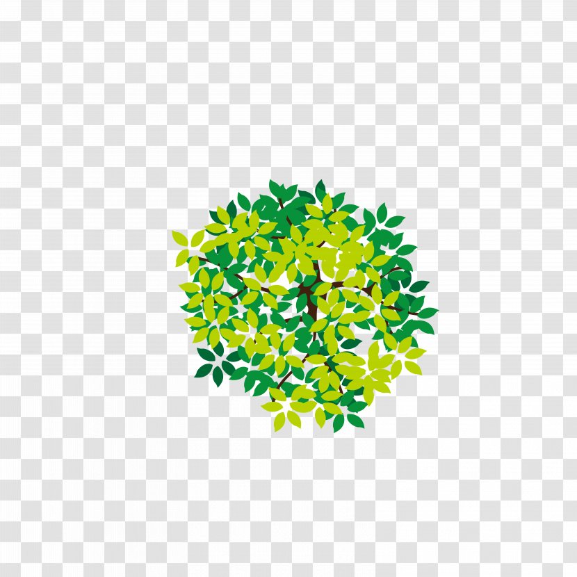 Tree Icon - Container - Lush Top Transparent PNG
