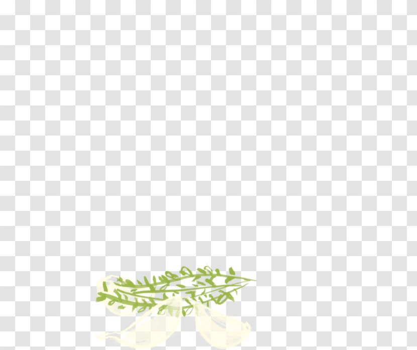 Twig Plant Stem Graphics Leaf Flower - Turmeric Starch Transparent PNG