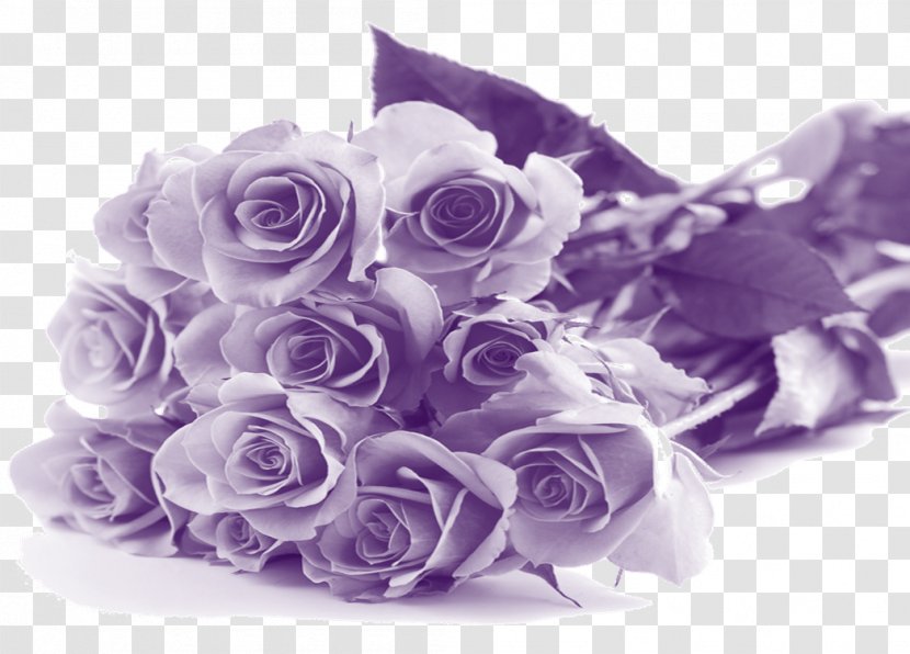 Mother's Day Flower Birthday Purple - High Quality Png Download Mothers Transparent PNG