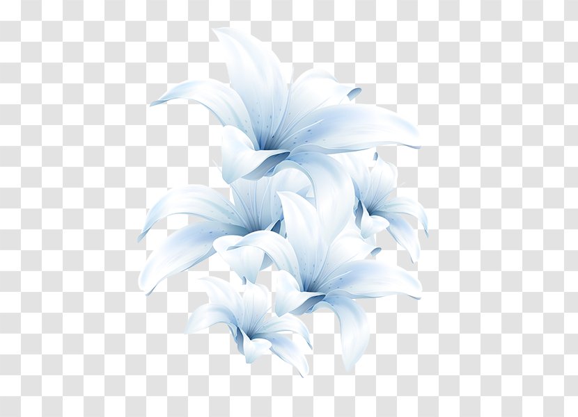 Madonna Lily Clip Art Desktop Wallpaper Image Flower - Lilies Transparent PNG