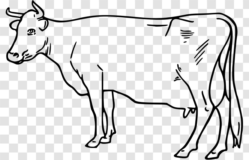 Ayrshire Cattle Taurine Goat Drawing Clip Art - Artwork Transparent PNG