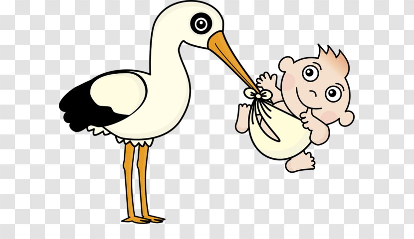 Infant Crane Childbirth Clip Art - Royaltyfree Transparent PNG