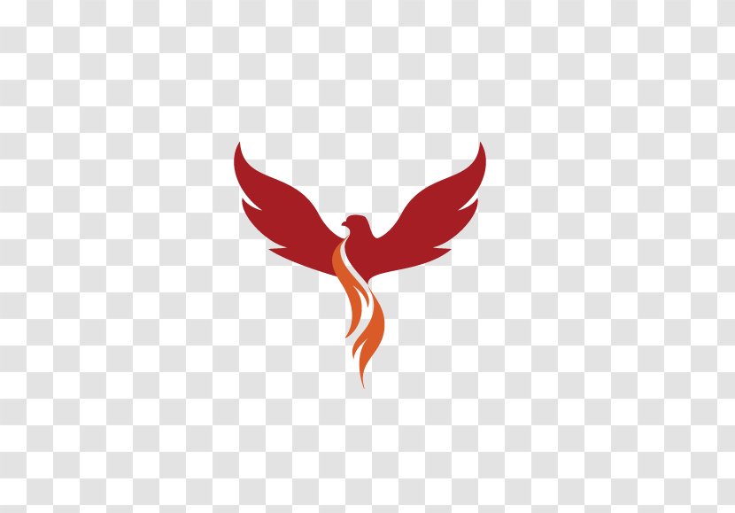 Tattoo Removal Phoenix Scorpio - Wing - Logo Transparent PNG