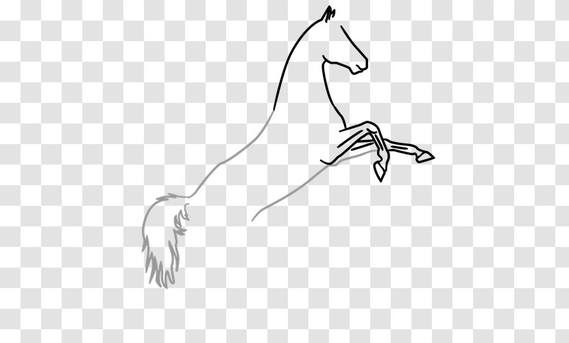 Mane Horse Drawing Line Art Clip - Flower Transparent PNG