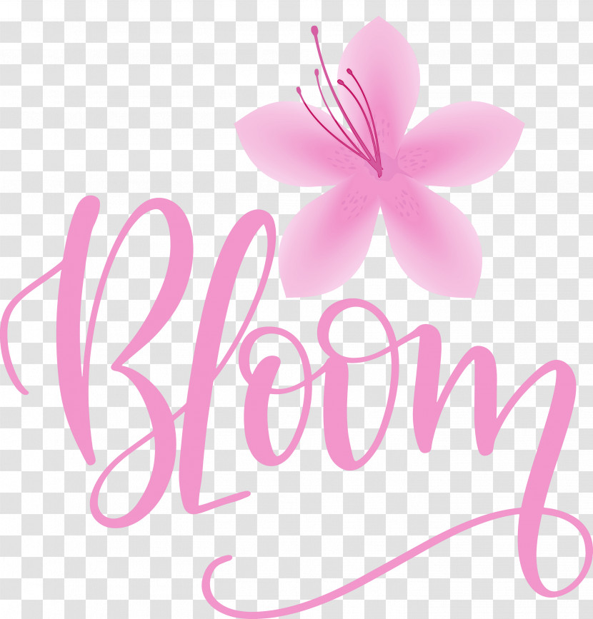 Bloom Spring Transparent PNG