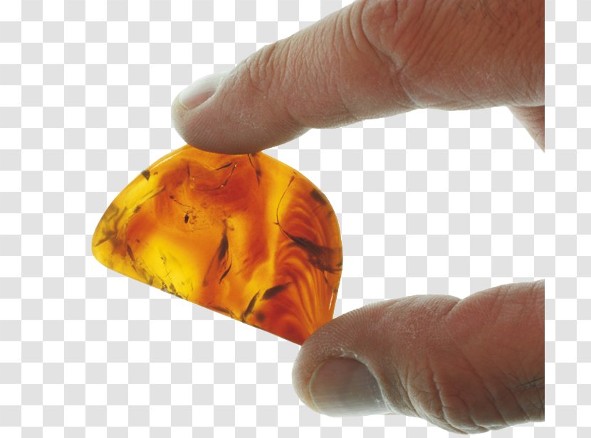 Amber Room Light Tsarskoye Selo Geological And Mining Institute Of Spain Transparent PNG