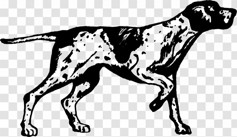 Dog Drawing - Braque Francais - Gun Transparent PNG