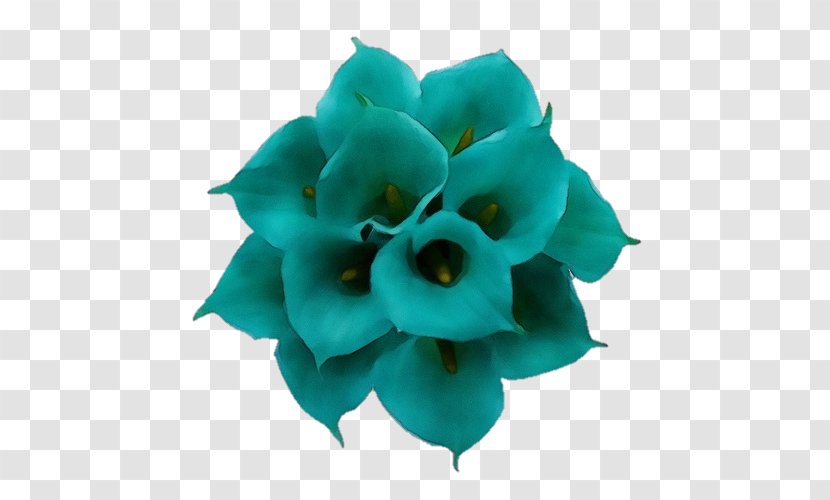 Black And White Flower - Blue - Plant Aqua Transparent PNG
