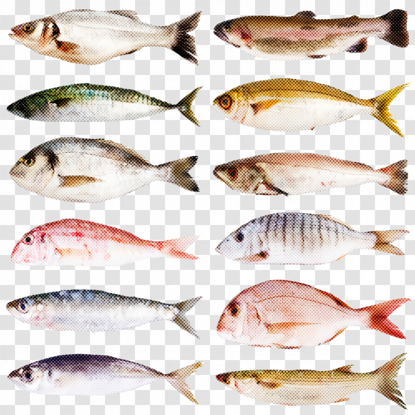 Fish Fish Fish Products Tilapia Seafood Transparent PNG