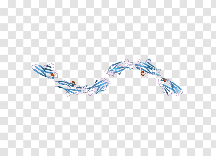 Titin Protein Family Gene Pfam - Chromosome Transparent PNG