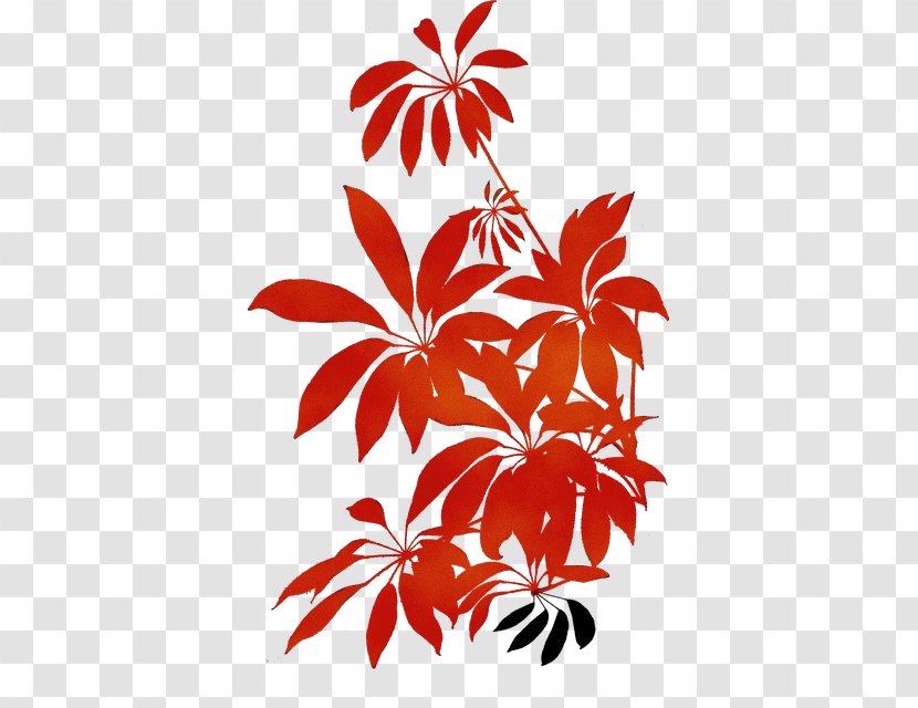 Palm Tree - Leaf - Flowering Plant Arecales Transparent PNG