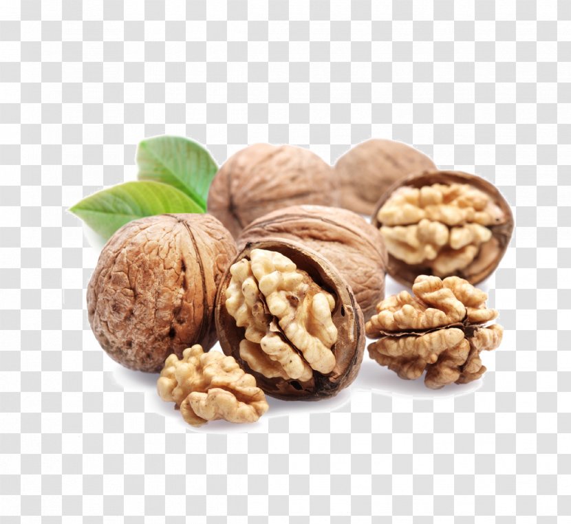 Dried Fruit Walnut Cashew - Nuts Seeds Transparent PNG