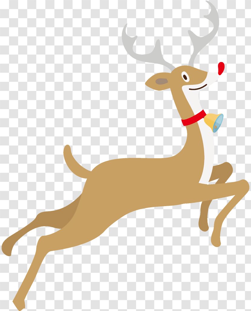 Reindeer Christmas - Deer - Animal Figure Wildlife Transparent PNG