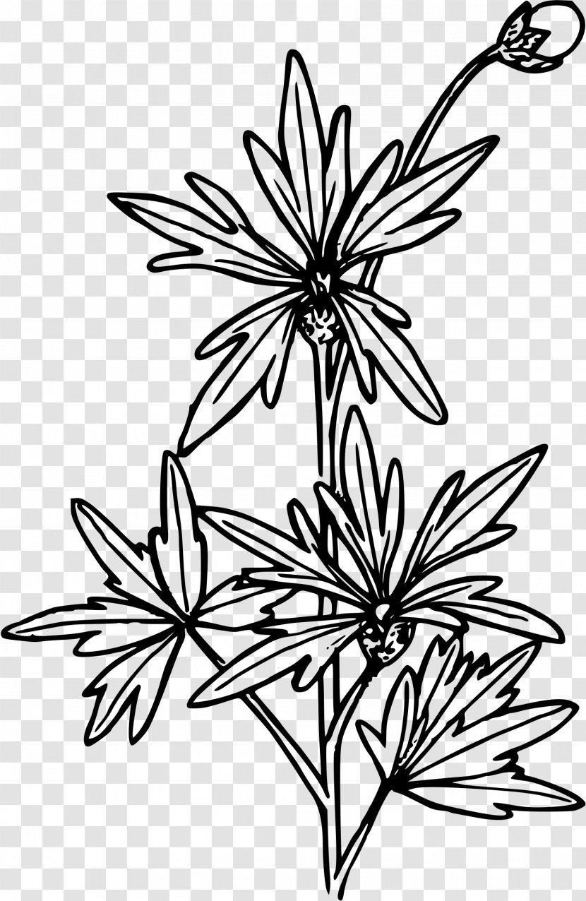 Line Art Drawing Clip - Symmetry - Chinese Flower Transparent PNG