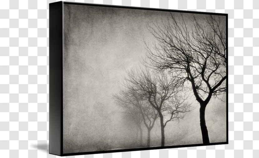 Gallery Wrap Photography Canvas Picture Frames Art - Stock - Early Morning Transparent PNG
