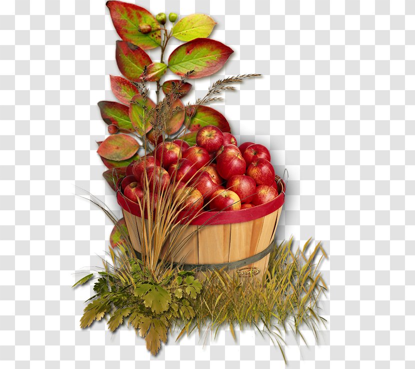 Apple Autumn Clip Art - Superfood Transparent PNG