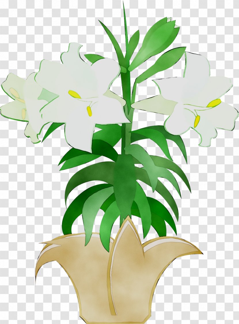 Floral Design Cut Flowers Plant Stem Leaf - Houseplant Transparent PNG
