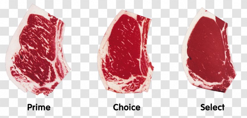 Barbecue Cattle Asado Beef Meat - Frame - Ribs Transparent PNG