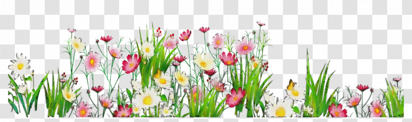 Floral Design Transparent PNG