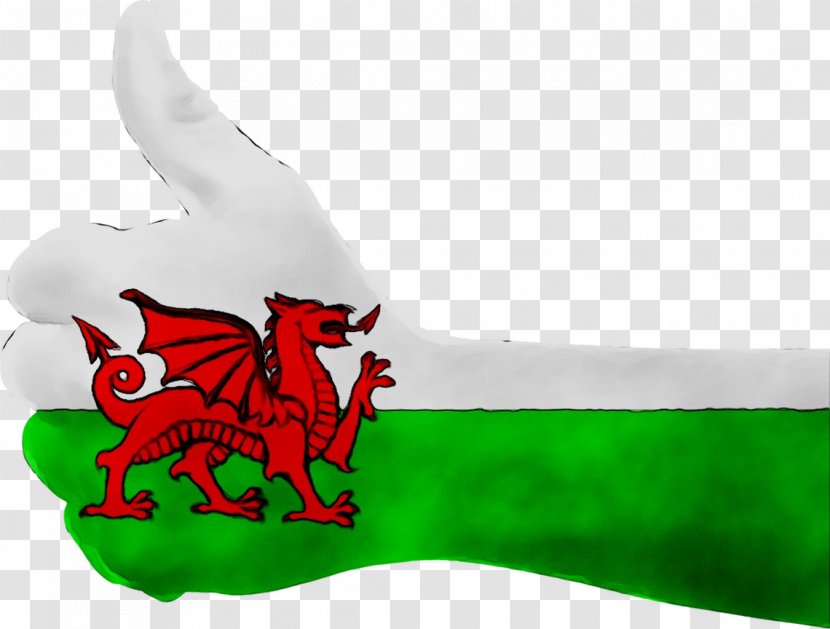 Flag Of Wales England - Carmine Transparent PNG