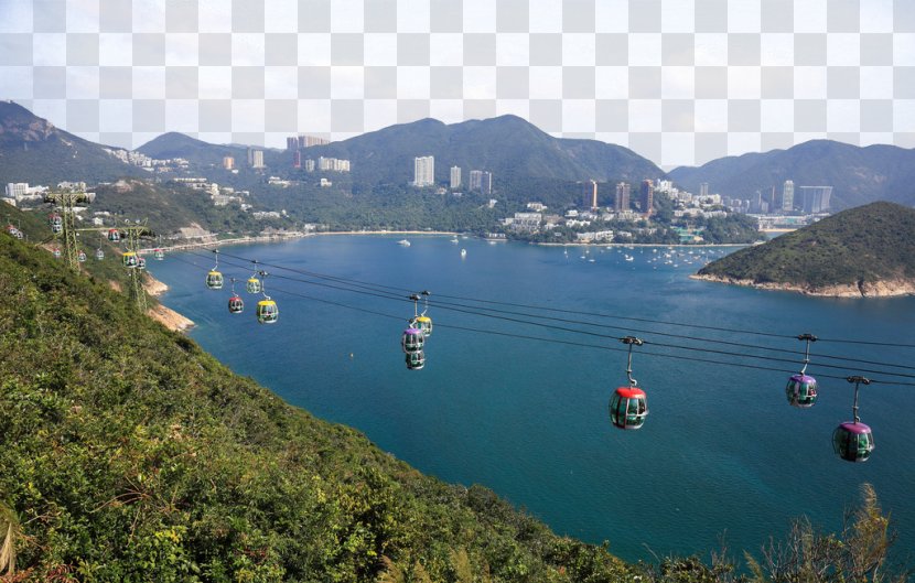 Ocean Park Hong Kong U6d77u6d0b Sea - Lake Transparent PNG