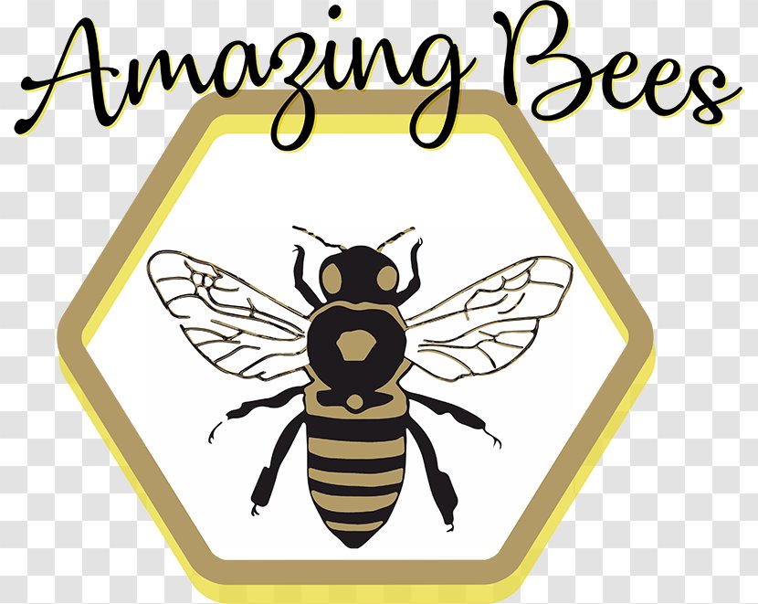 Honey Bee Brand Clip Art - Pest Transparent PNG