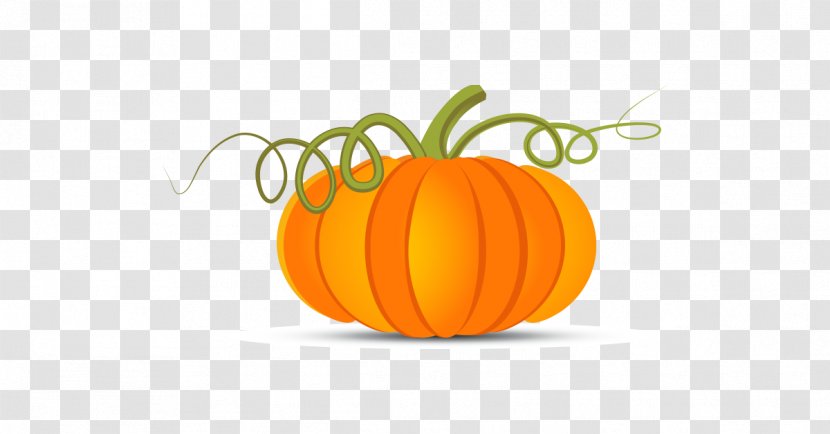 Pumpkin Clip Art - Cucurbita Pepo Transparent PNG