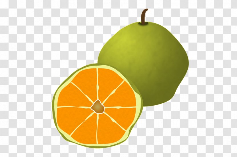 Ugli Fruit Cocktail Drink Food - Citric Acid Transparent PNG