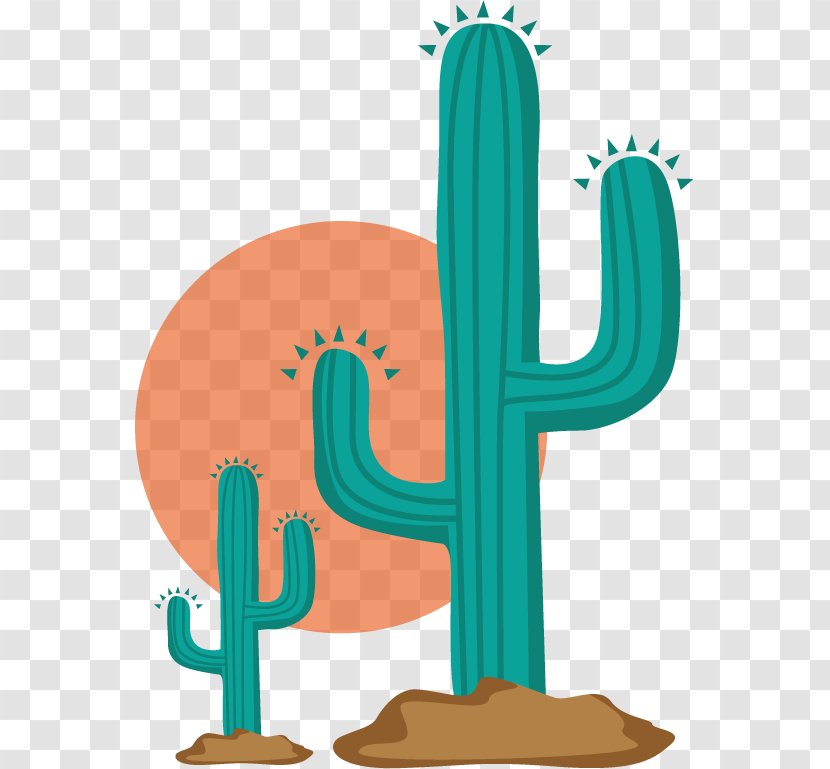 Euclidean Vector Cactaceae - Vecteur - Creative Cactus Transparent PNG