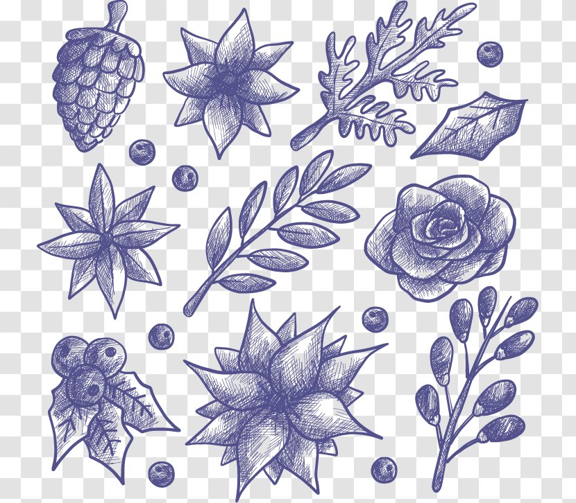 Euclidean Vector Drawing Flower Mistletoe Winter - Violet - Flowers And Hand-painted Sketch Transparent PNG
