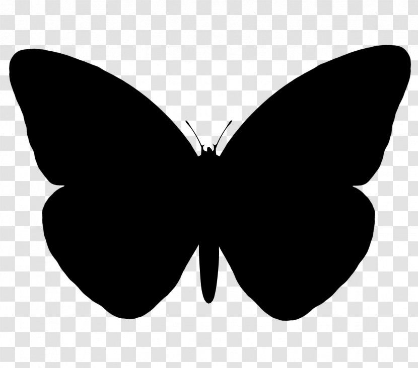 Butterfly Vector Graphics Silhouette Image - Invertebrate Transparent PNG