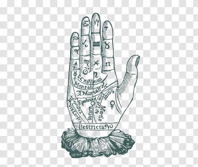The Reading Of Hands Palmistry Astrology Divination - Arm - Palm Transparent PNG