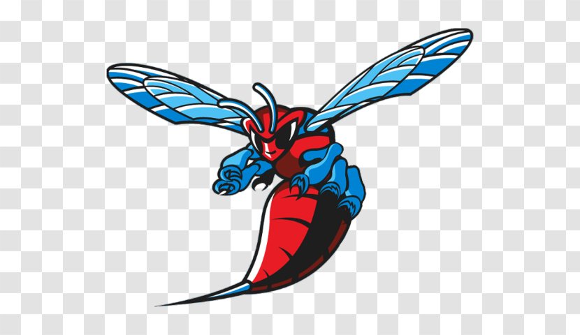 Delaware State University Hornets Men's Basketball Of Maryland Eastern Shore Norfolk NCAA Division I - Mideastern Athletic Conference - Vector Transparent PNG