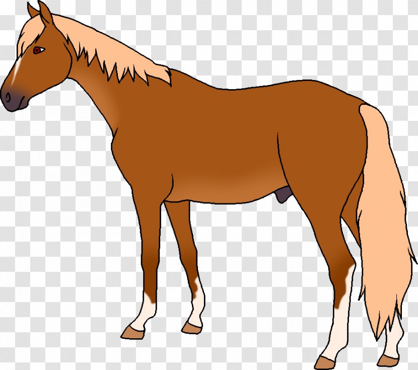 Mule Foal Stallion Pony Colt - Mustang Transparent PNG