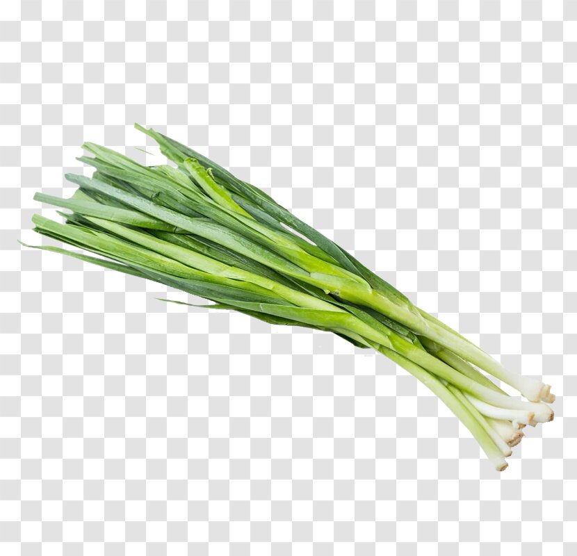 Edamame Garlic Vegetable Bean - Cucumber - Creative Transparent PNG