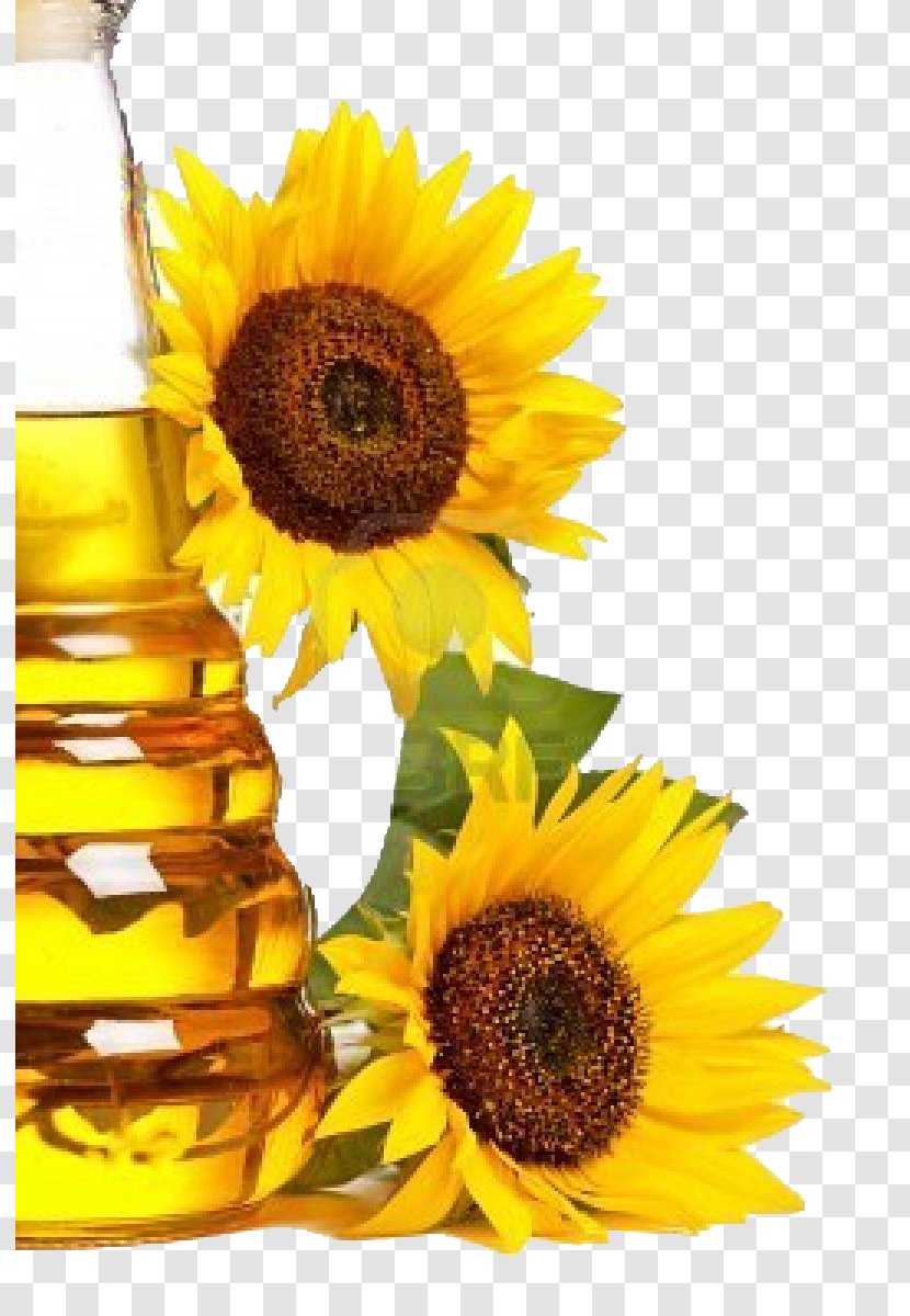 Common Sunflower Oil Cooking Oils Seed - Castor Transparent PNG