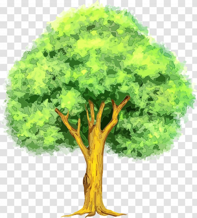 Arbor Day - Trunk Transparent PNG