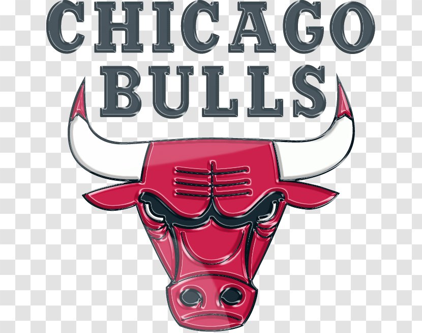Chicago Bulls NBA Cubs Indiana Pacers Logo - Drawing - Nba Transparent PNG