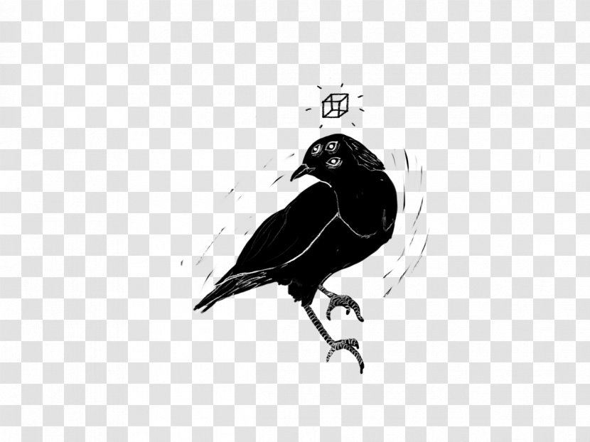 American Crow Drawing Illustration Ink Vector Graphics - Wing - Abatement Streamer Transparent PNG