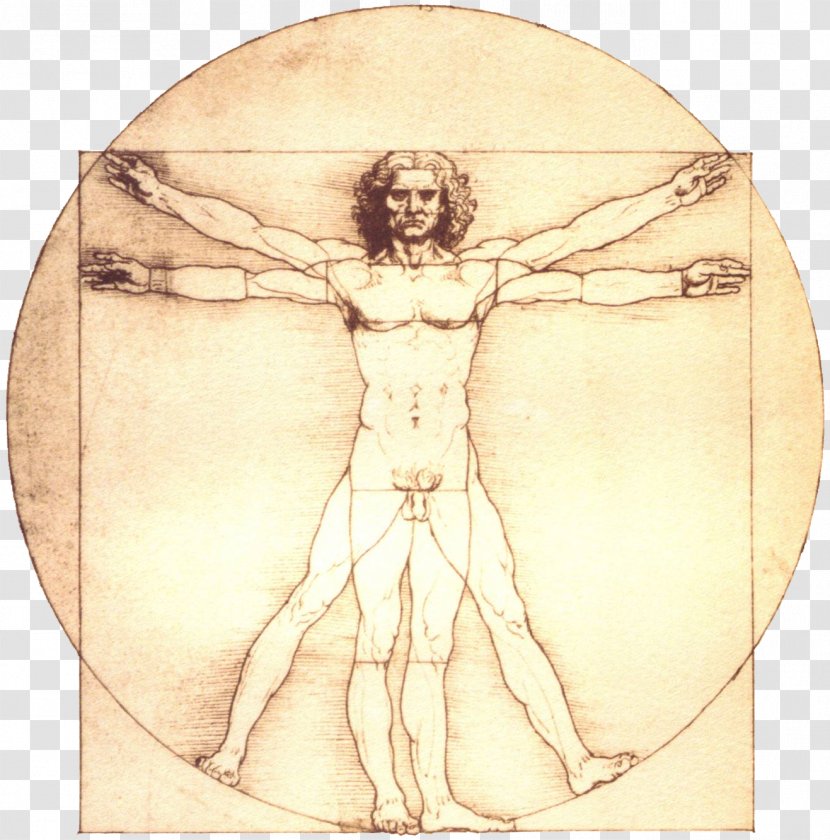 Vitruvian Man Renaissance Portrait Of A In Red Chalk Painting Drawing - Joint Transparent PNG